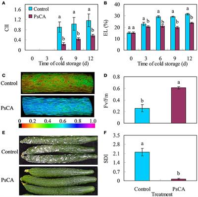 Proteomic Analysis of Differentially Accumulated Proteins in Cucumber (Cucumis sativus) Fruit Peel in Response to Pre-storage Cold Acclimation